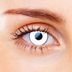 Meet your Posher, Priscilla